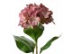 Tmavě růžová umělá květina hortenzie Hydrangea - 16*15*68 cm Clayre & Eef