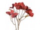 Dekorace umělá květina s červenými květy Chic Red - 12*8*72 cm Clayre & Eef