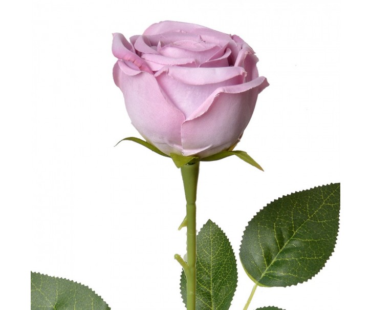 Dekorace umělá květina fialová růže Rose Purple - 9*9*61 cm Clayre & Eef