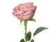 Dekorace umělá květina růžová růže Rose Pink - 9*9*61 cm Clayre & Eef