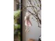 Růžový plstěný závěsný velikonoční králíček Magiccal - 6*3*13 cm Clayre & Eef