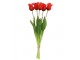 Kytice 5ks červených realistických tulipánů Tulips Papagayo - 46 cm daan kromhout