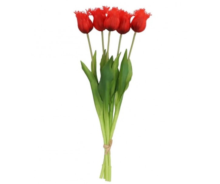 Kytice 5ks červených realistických tulipánů Tulips Papagayo - 46 cm daan kromhout