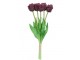 Kytice 5ks fialových realistických tulipánů Tulips Papagayo - 39 cm daan kromhout