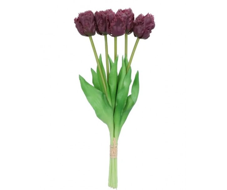 Kytice 5ks fialových realistických tulipánů Tulips Papagayo - 39 cm daan kromhout