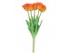 Kytice 5ks oranžových realistických tulipánů Tulips Papagayo - 39 cm daan kromhout