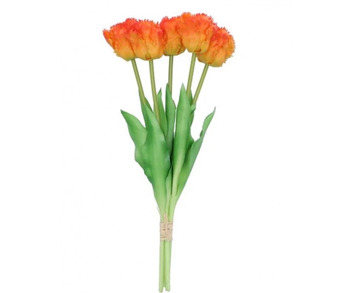 Kytice 5ks oranžových realistických tulipánů Tulips Papagayo - 39 cm daan kromhout