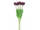 Kytice 7ks fialových realistických tulipánů Tulips - 43cm daan kromhout