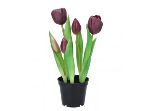 5ks fialový realistický tulipán Tulips v květináčku - Ø 8*7/ 26 cm