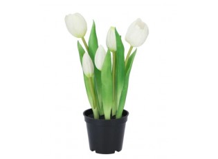 5ks bílý realistický tulipán Tulips v květináčku - Ø 8*7/ 26 cm