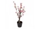 Dekorace umělý stromek třešeň s růžovými květy Cherry Blossom - 10*10*48 cm Clayre & Eef