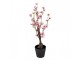 Dekorace umělý stromek třešeň s růžovými květy Cherry Blossom - 10*10*48 cm Clayre & Eef
