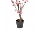 Dekorace umělý stromek třešeň s růžovými květy Cherry Blossom - 10*10*48 cm Clayre & Eef