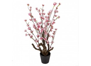 Dekorační stromek třešeň s růžovými květy Cherry Blossom - 18*18*70 cm