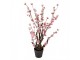 Dekorační stromek třešeň s růžovými květy Cherry Blossom - 18*18*70 cm Clayre & Eef