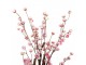 Dekorační stromek třešeň s růžovými květy Cherry Blossom - 18*18*70 cm Clayre & Eef