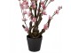 Dekorační stromek třešeň s růžovými květy Cherry Blossom - 18*18*70 cm Clayre & Eef