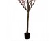 Dekorace umělý strom třešeň s růžovými květy Cherry Blossom - 45*45*185 cm Clayre & Eef