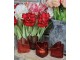 4ks červený mix skleněný svícen srdce Love Hearts - 7*8 cm daan kromhout
