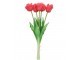 Kytice 5ks tmavě růžových realistických tulipánů Tulips Papagayo - 39 cm daan kromhout