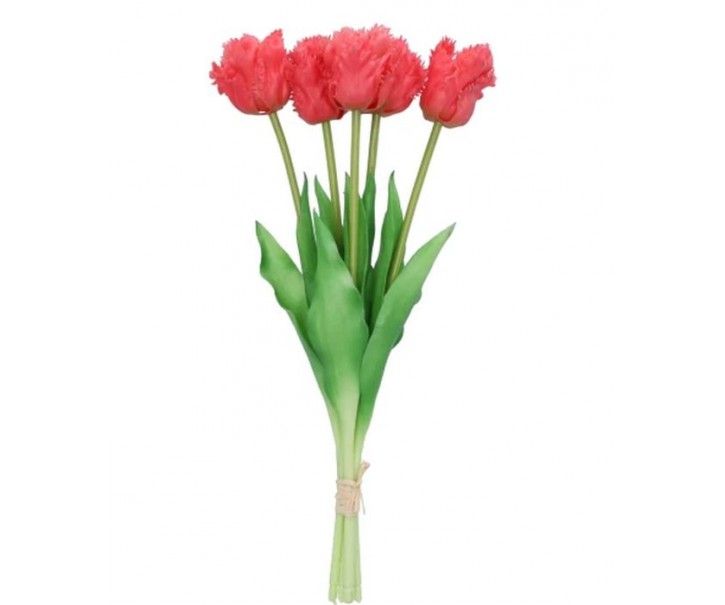 Kytice 5ks tmavě růžových realistických tulipánů Tulips Papagayo - 39 cm daan kromhout