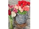 Kytice 5ks tmavě růžových realistických tulipánů Tulips Papagayo - 39 cm daan kromhout