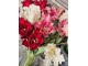 Červený tulipán Silk Tulip Red - 64 cm daan kromhout