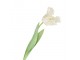 Bílý tulipán Silk Tulip White - 64 cm daan kromhout