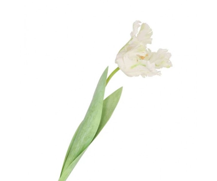 Bílý tulipán Silk Tulip White - 64 cm daan kromhout
