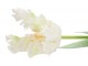 Bílý tulipán Silk Tulip White - 64 cm daan kromhout