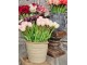 Bílý tulipán Silk Tulip White - 64 cm daan kromhout