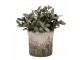 Béžovo-zelený obal na květináč s růžovými květy Rustic Flower S - Ø 13*12 cm Clayre & Eef