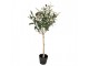 Dekorace umělý stromek olivovník s olivami Olea Tree - 15*15*70 cm Clayre & Eef