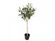Dekorace umělý stromek olivovník s olivami Olea Tree - 15*15*70 cm Clayre & Eef