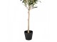 Dekorace umělý stromek olivovník s olivami Olea Tree - 15*15*70 cm Clayre & Eef