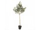 Dekorace umělý stromek olivovník s olivami Olive Tree - 20*20*90 cm Clayre & Eef
