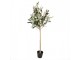 Dekorace umělý stromek olivovník s olivami Olive Tree - 20*20*90 cm Clayre & Eef