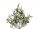 Dekorace umělý stromek olivovník s olivami Olive Tree - 20*20*90 cm Clayre & Eef