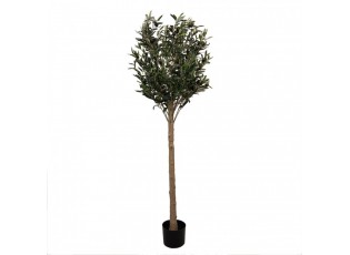 Dekorace umělý stromek olivovník s olivami Olea Tree - 50*50*165 cm
