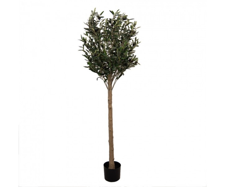 Dekorace umělý stromek olivovník s olivami Olive Tree - 50*50*165 cm Clayre & Eef