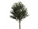 Dekorace umělý stromek olivovník s olivami Olive Tree - 50*50*165 cm Clayre & Eef