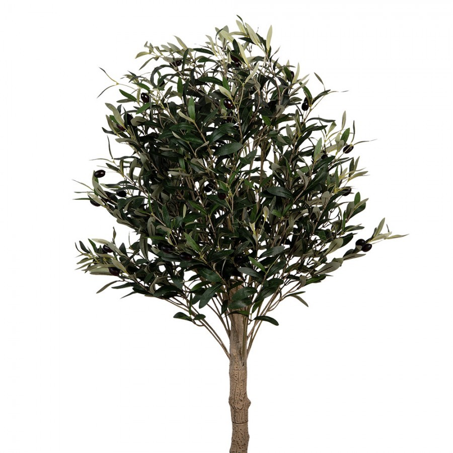 Dekorace umělý stromek olivovník s olivami Olea Tree - 50*50*165 cm Clayre & Eef Dekorace umělý stromek olivovník s olivami Olea Tree - 50*50*165 cm Clayre & Eef