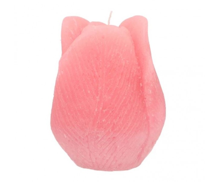 Růžová svíčka ve tvaru tulipánu Tulip Blush Pink - Ø 7*8 cm daan kromhout