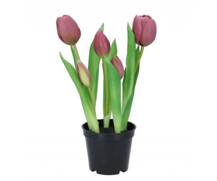 5ks světle fialový realistický tulipán Tulips v květináčku - Ø 8*7/ 26 cm daan kromhout