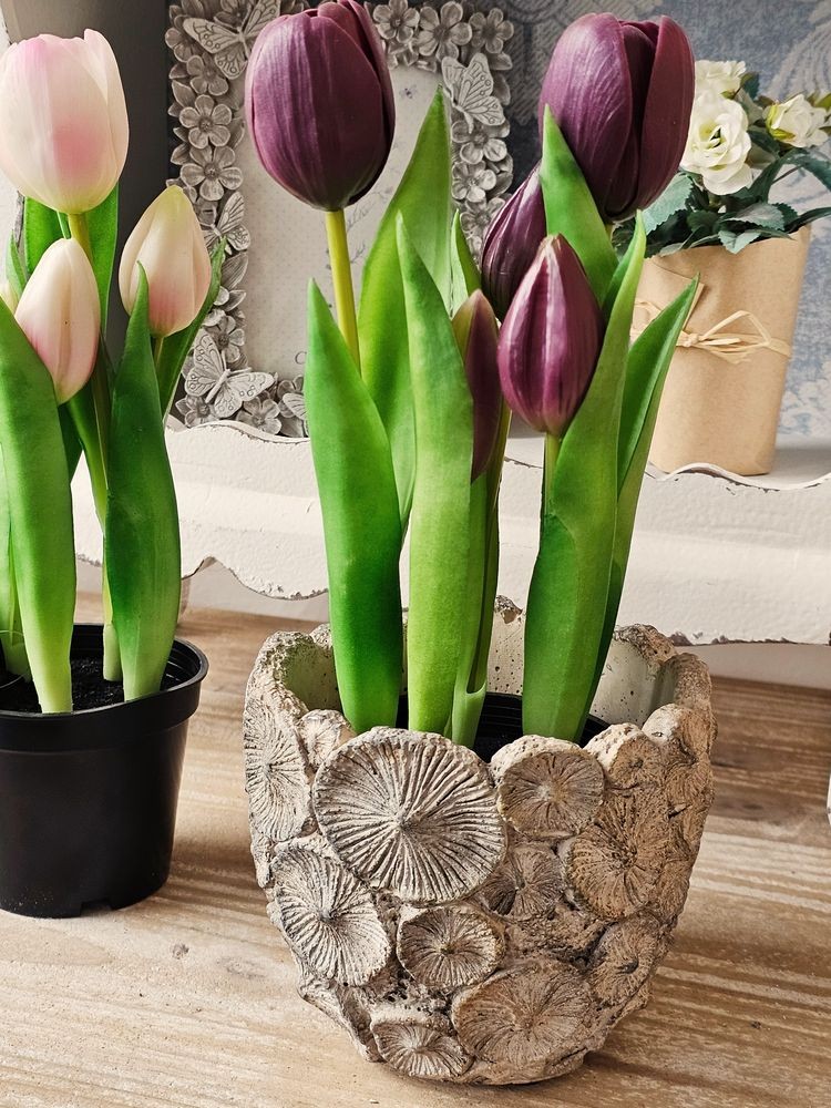 5ks fialový realistický tulipán Tulips v květináčku - Ø 8*7/ 26 cm daan kromhout 5ks fialový realistický tulipán Tulips v květináčku - Ø 8*7/ 26 cm daan kromhout