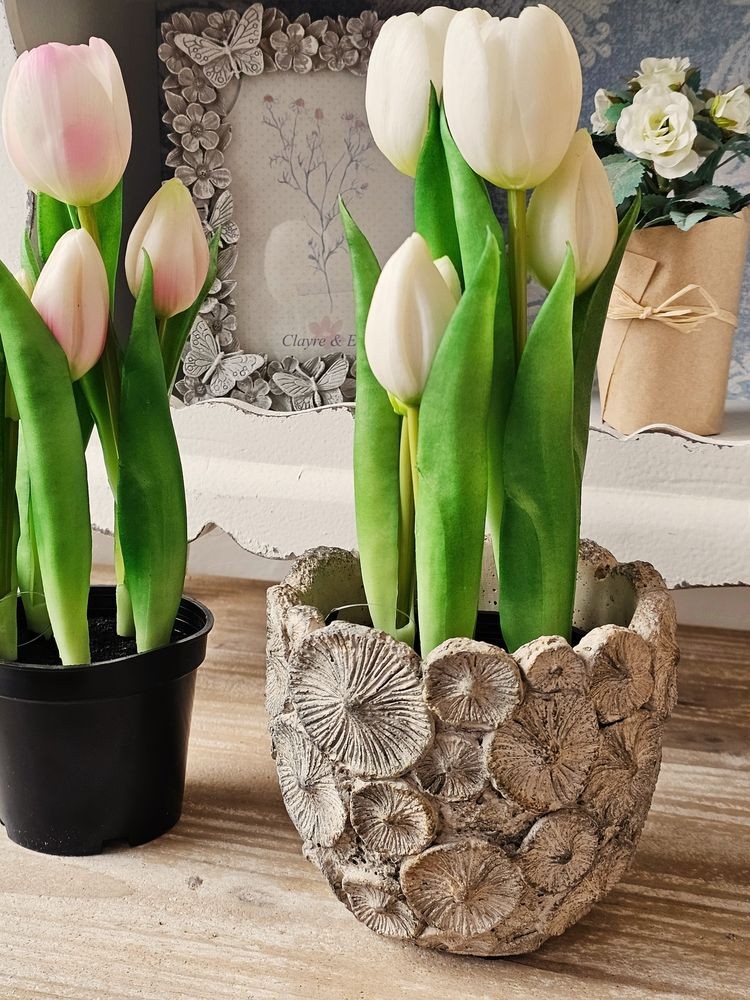 5ks bílý realistický tulipán Tulips v květináčku - Ø 8*7/ 26 cm daan kromhout 5ks bílý realistický tulipán Tulips v květináčku - Ø 8*7/ 26 cm daan kromhout