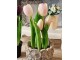 5ks růžový realistický tulipán Tulips v květináčku - 26 cm daan kromhout