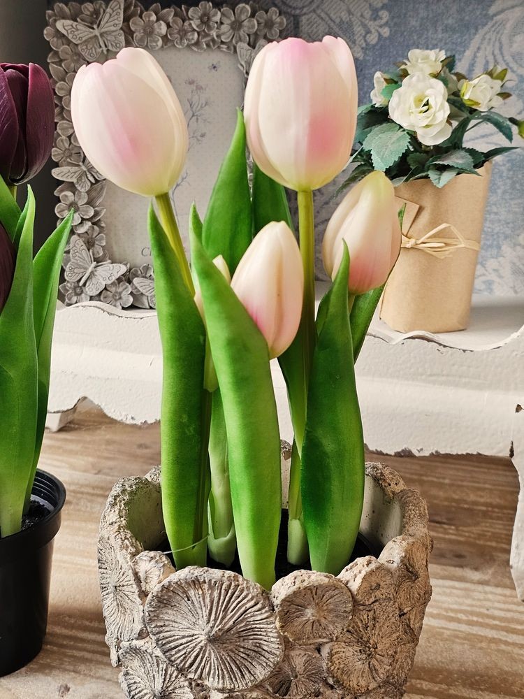 5ks růžový realistický tulipán Tulips v květináčku - Ø 8*7/ 26 cm daan kromhout 5ks růžový realistický tulipán Tulips v květináčku - Ø 8*7/ 26 cm daan kromhout