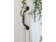 Krémová antik nástěnná dřevěná skříňka s dvířky Chantal - 35*19*50 cm Chic Antique