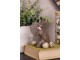 Dekorace čokoládavá figurka králík - 8*4*13 cm Clayre & Eef